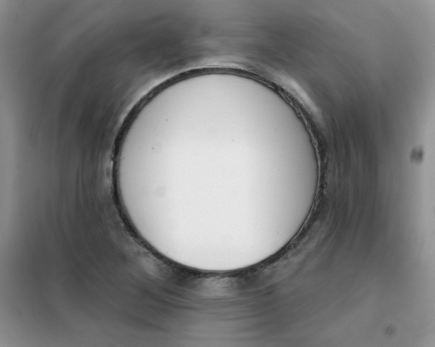 X0000101981268200808011051