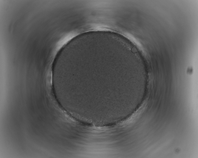 X0000101981269200808011051