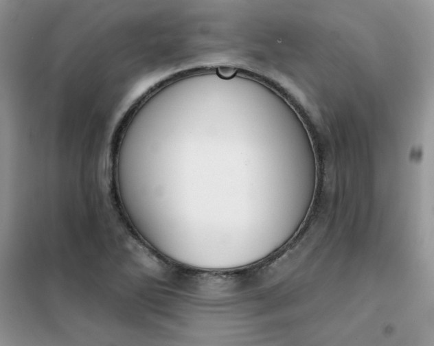 X0000101981270200808011051