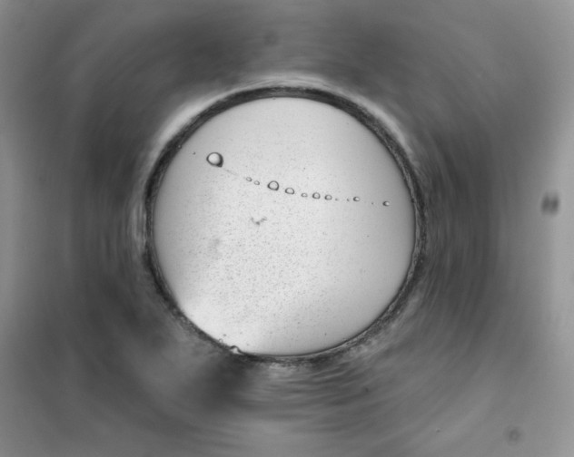 X0000101981271200808011051