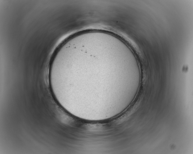 X0000101981272200808011051