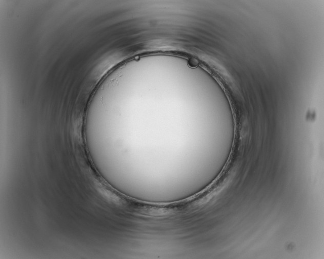 X0000101981273200808011051