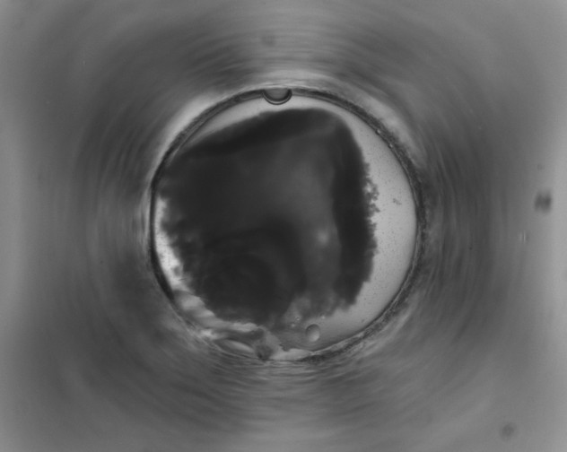 X0000101981275200808011051