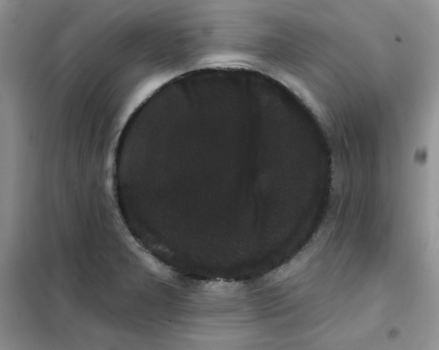 X0000101981277200808011051