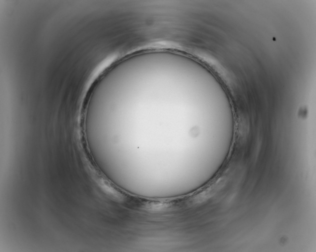 X0000101981278200808011051