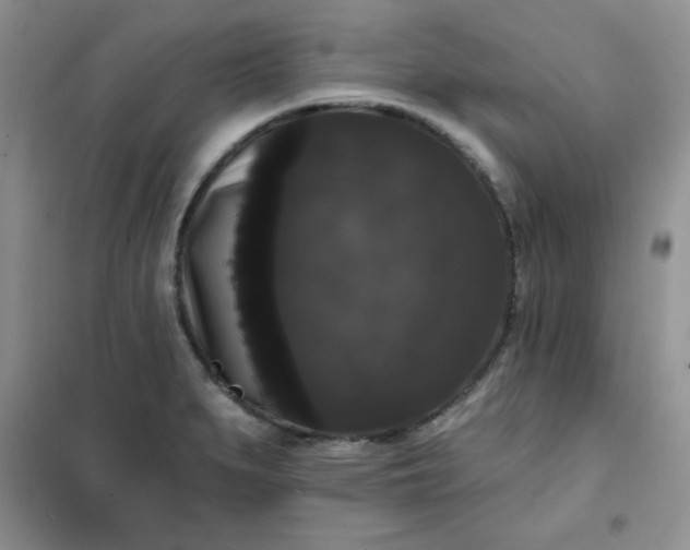 X0000101981279200808011051