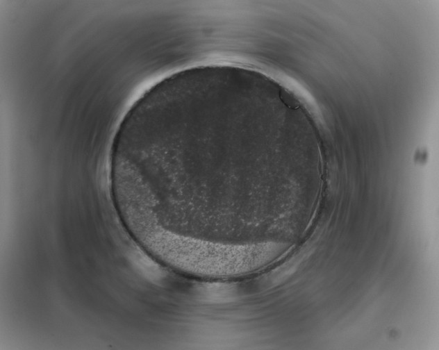 X0000101981280200808011051