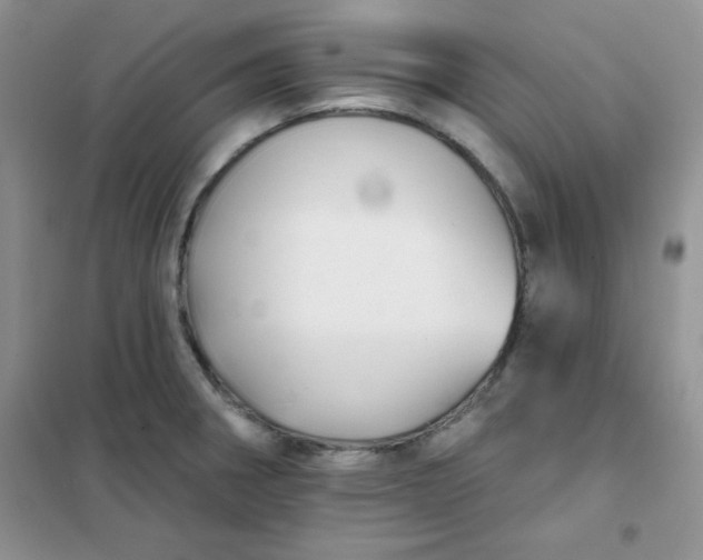 X0000101981282200808011051