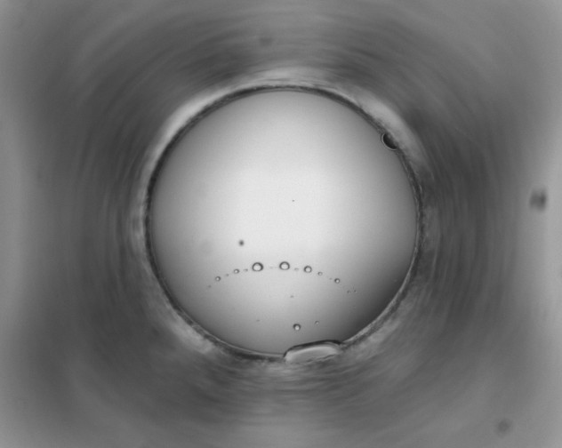 X0000101981288200808011051