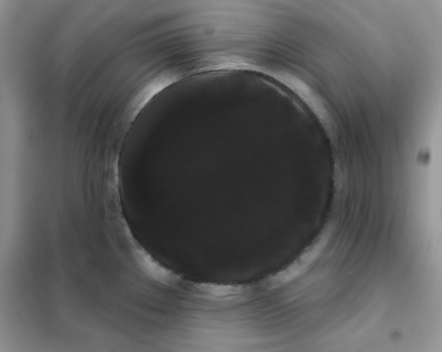 X0000101981289200808011051