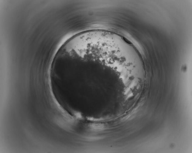 X0000101981291200808011051