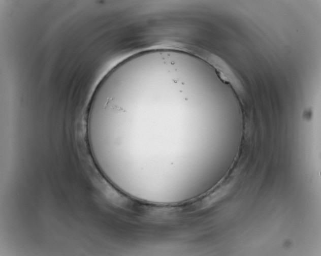 X0000101981292200808011051