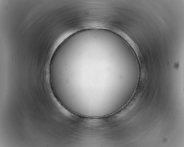 X0000101981293200808011051