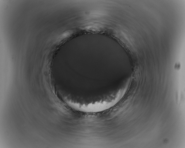 X0000101981297200808011050