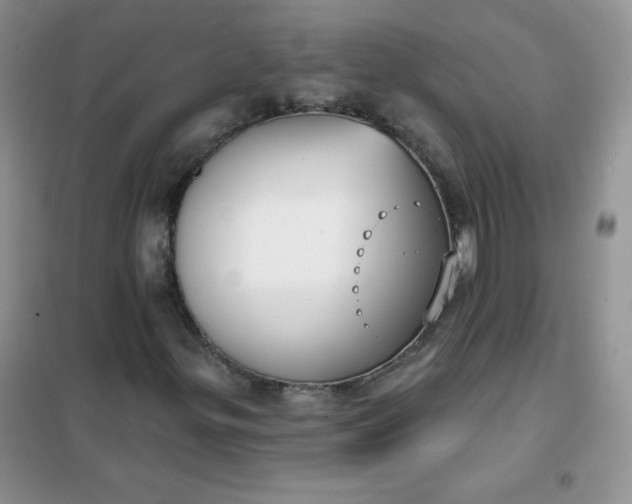 X0000101981299200808011050