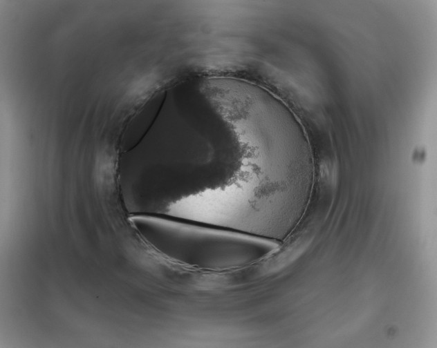 X0000101981300200808011050