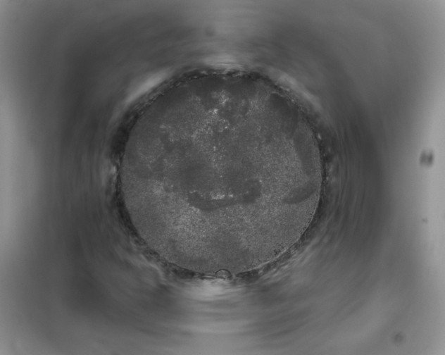 X0000101981302200808011050