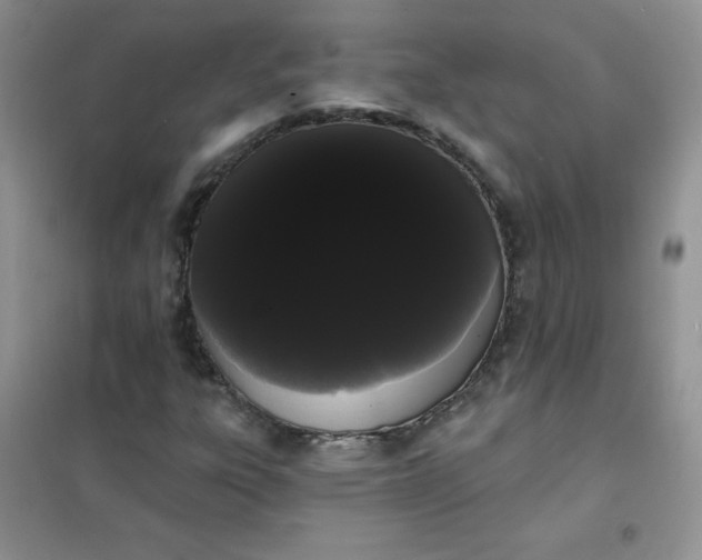 X0000101981303200808011050