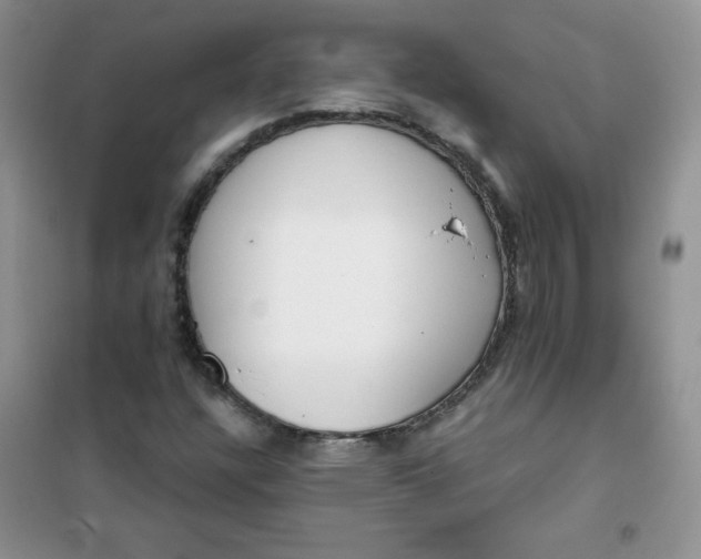 X0000101981304200808011050