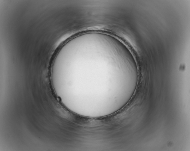 X0000101981308200808011050