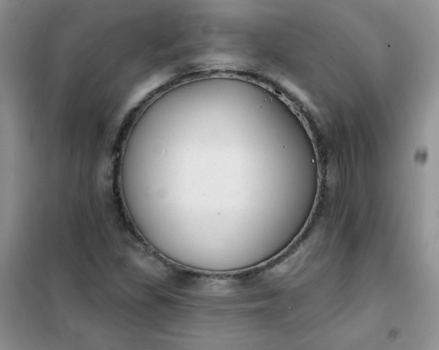 X0000101981309200808011050