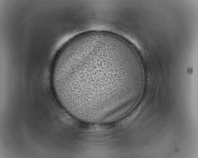 X0000101981311200808011050