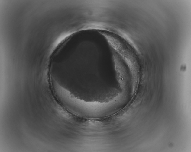 X0000101981312200808011050