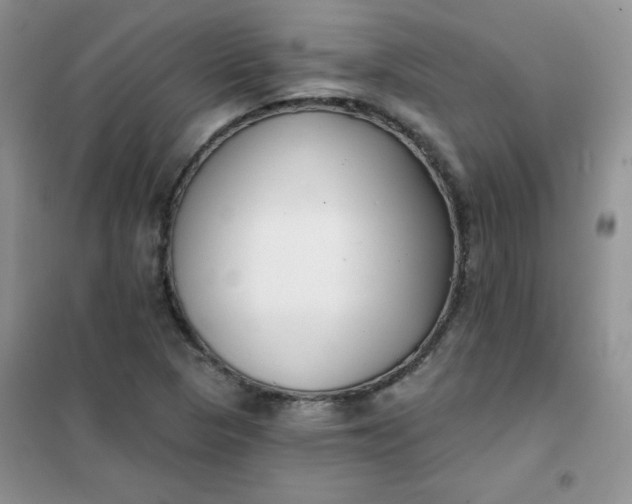 X0000101981313200808011050