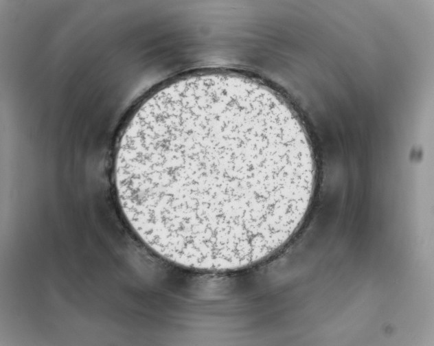 X0000101981314200808011050