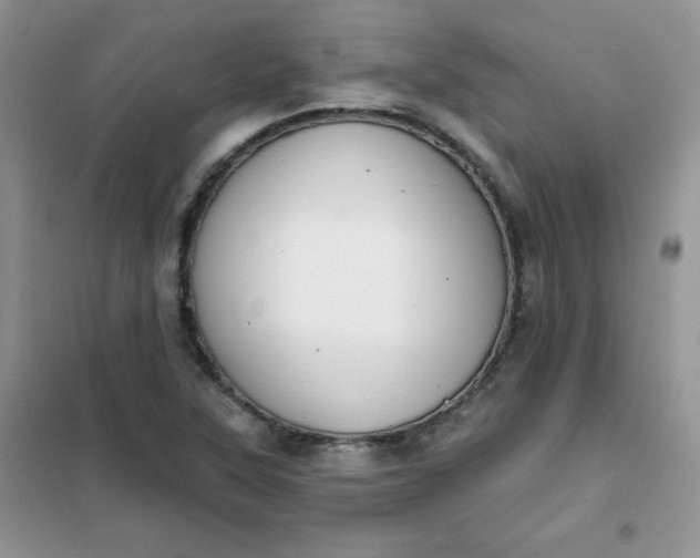 X0000101981315200808011050