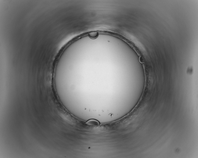 X0000101981316200808011050