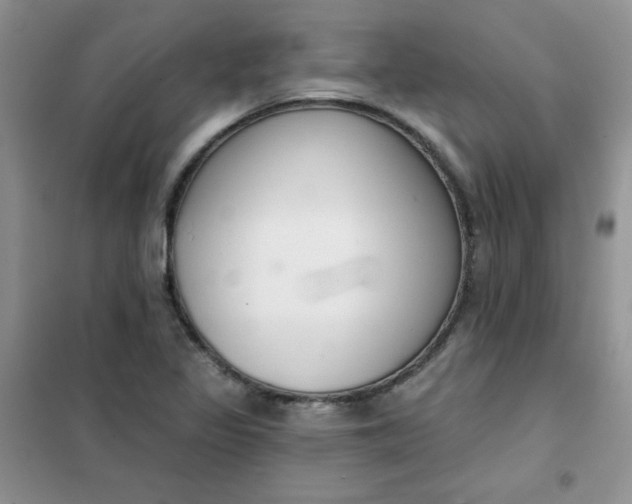 X0000101981317200808011050