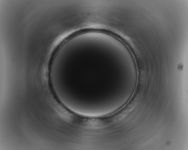 X0000101981319200808011050