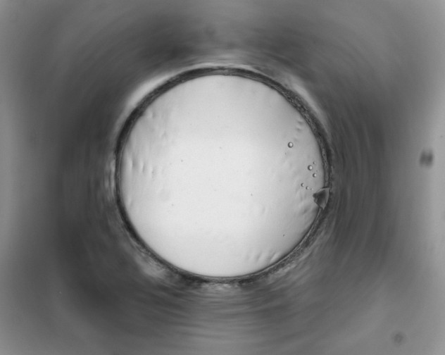 X0000101981320200808011050