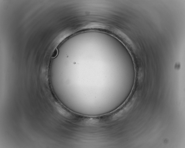 X0000101981321200808011050