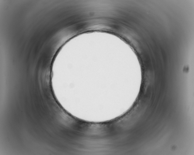 X0000101981322200808011050