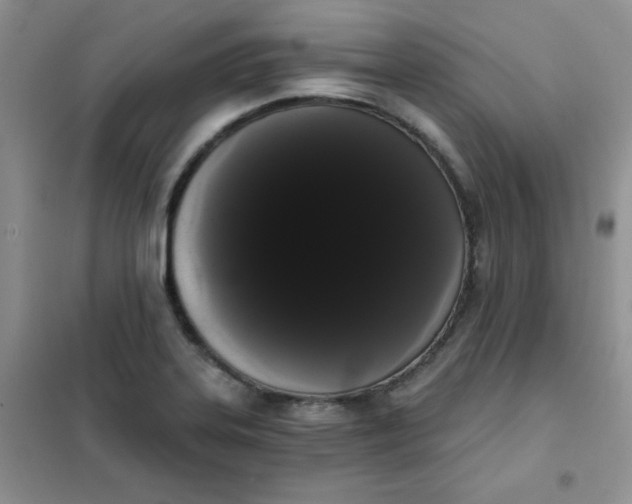 X0000101981323200808011051