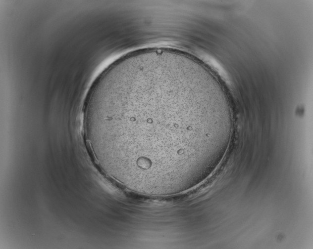 X0000101981324200808011051