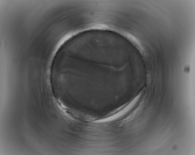 X0000101981326200808011051