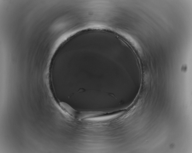 X0000101981327200808011051