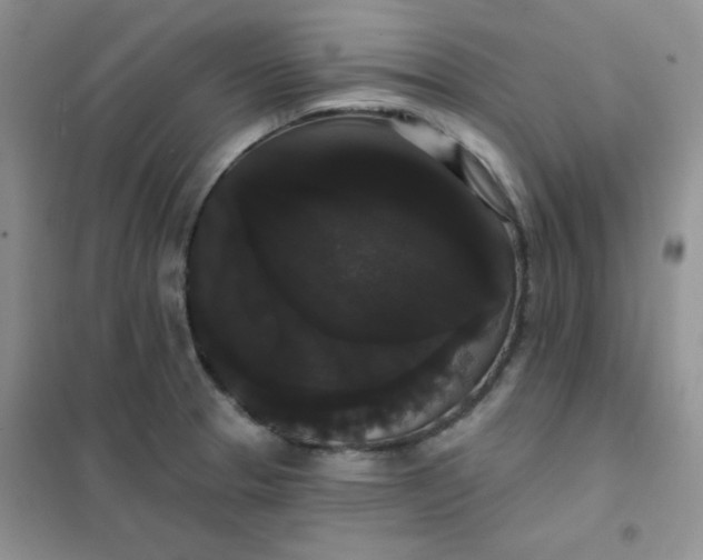 X0000101981329200808011051