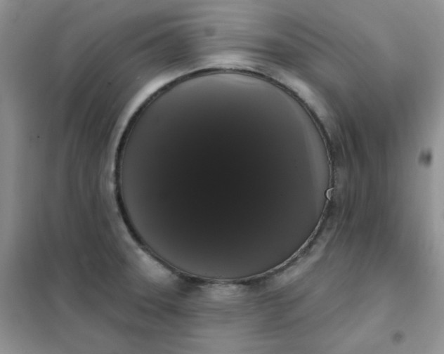 X0000101981331200808011051