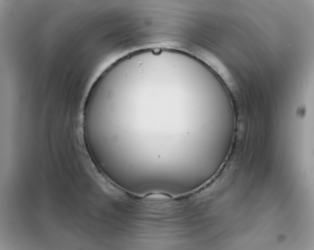 X0000101981332200808011051