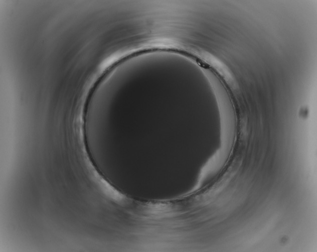 X0000101981334200808011051