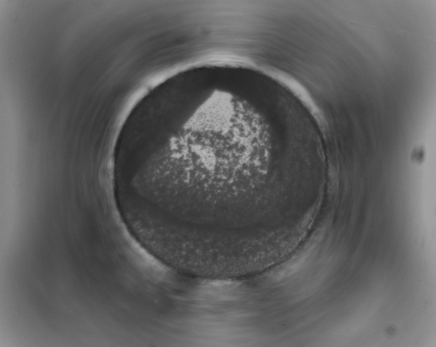 X0000101981335200808011051