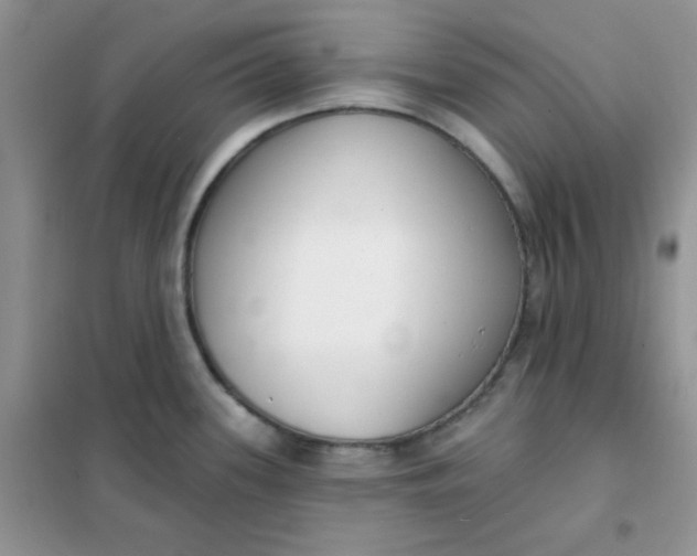 X0000101981339200808011051