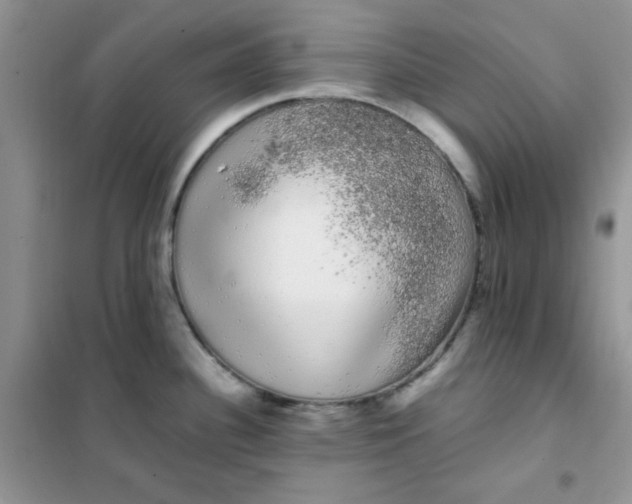 X0000101981340200808011051