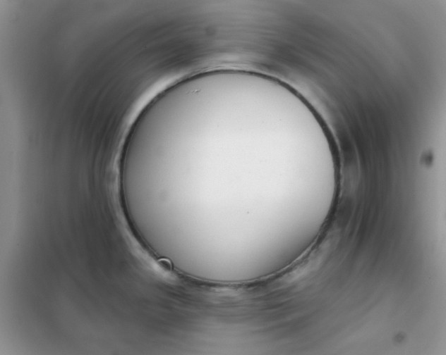 X0000101981341200808011051