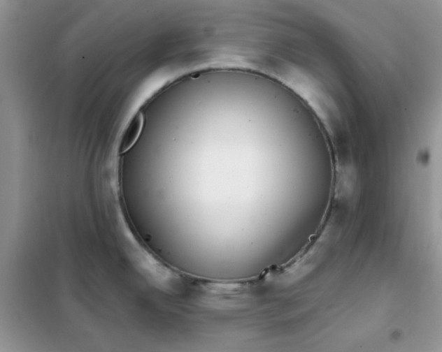 X0000101981342200808011051