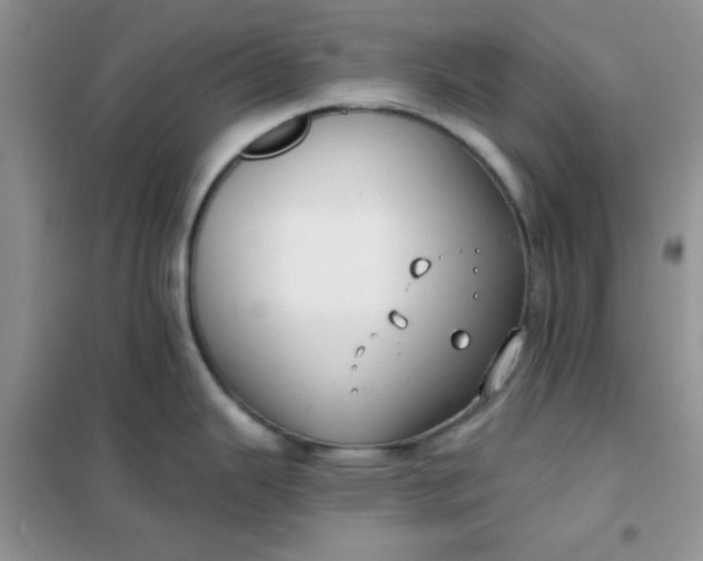 X0000101981343200808011051